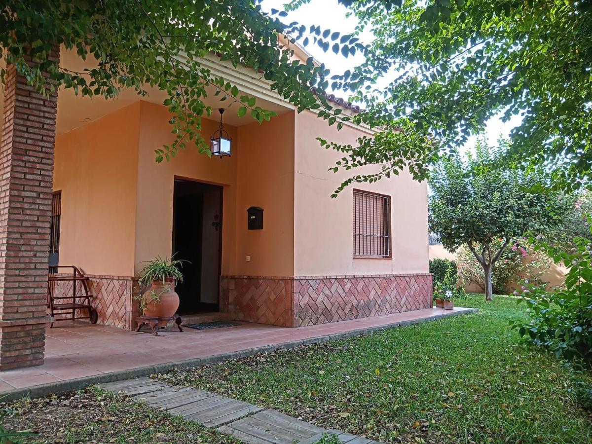 Oregano * Carmona (Seville)