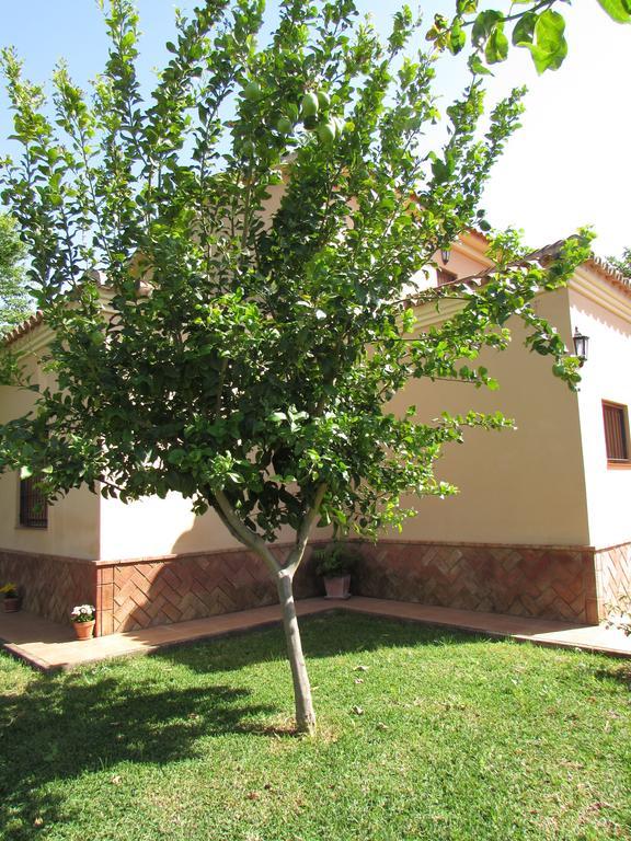 Vakantiehuis Oregano Carmona (Seville)